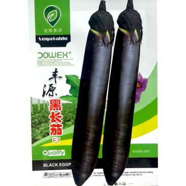 丰源黑长茄种子条直黑亮口感绵软抗早衰耐低温