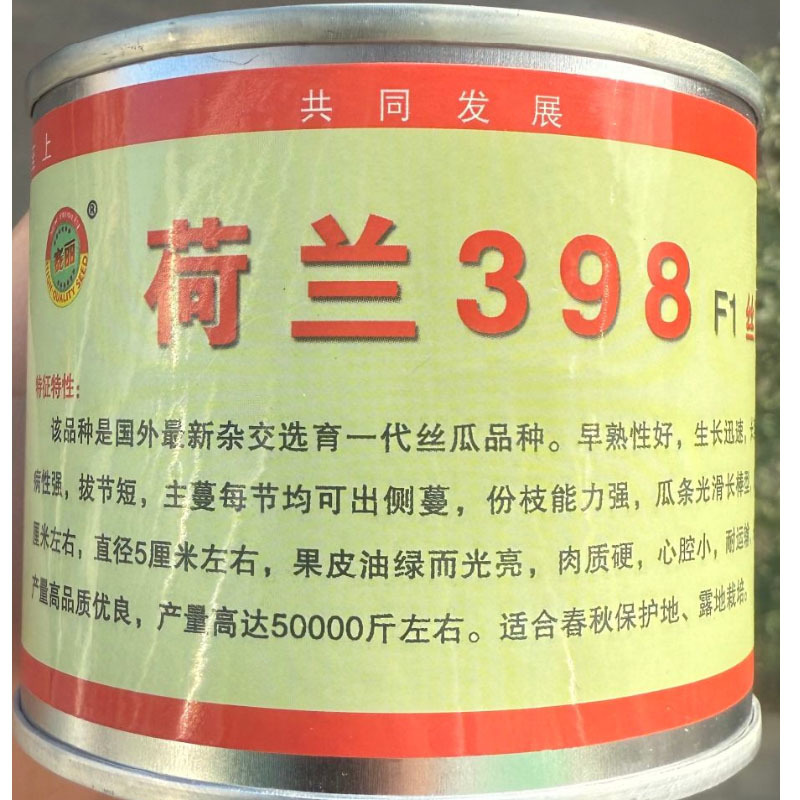 荷兰398丝瓜种子瓜条光滑长棒型果皮油绿光亮心腔小