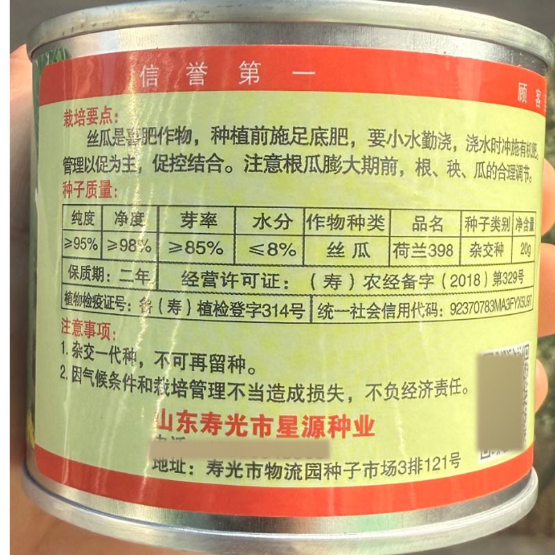 荷兰398丝瓜种子瓜条光滑长棒型果皮油绿光亮心腔小