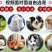 德牧幼犬弓背德国牧羊犬平背德牧纯种德牧犬疫苗驱虫已做
