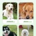 德牧幼犬弓背德国牧羊犬平背德牧纯种德牧犬疫苗驱虫已做