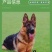 纯种德国牧羊犬德牧幼犬精品德牧犬弓背平背德牧犬狼狗