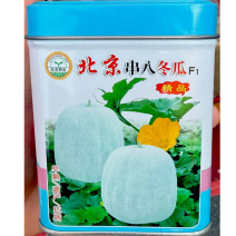 北京串八冬瓜种子粉皮小冬瓜种子早熟肉厚单瓜2公斤