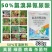 氯溴异氰尿酸炭疽白粉霜霉溃疡角斑病真细菌病毒病套餐农药杀