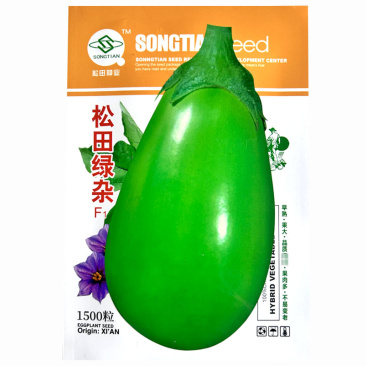 西安绿罐茄种子松田绿杂早熟果大果肉多不易变老