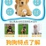 拉布拉多犬马犬金毛犬德国牧羊犬幼犬血统纯正