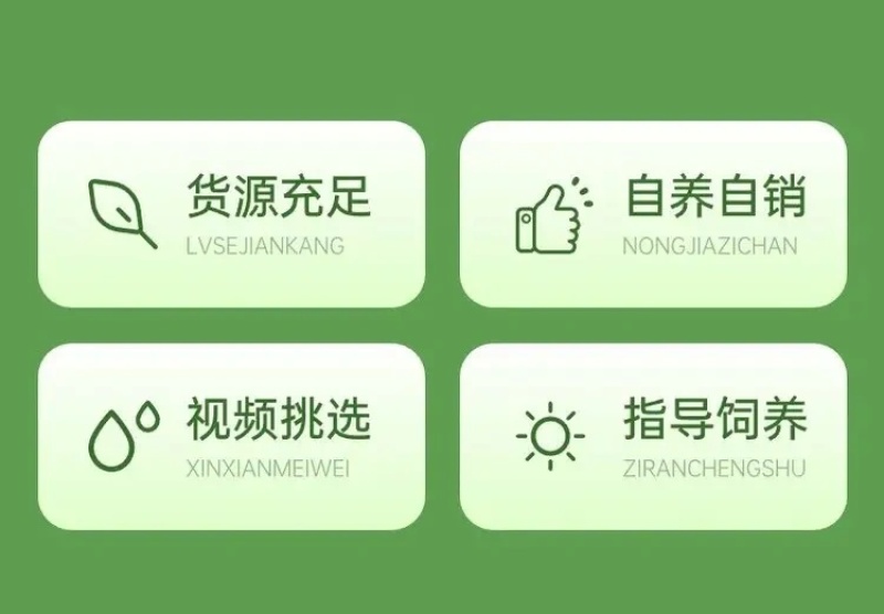 拉布拉多犬马犬金毛犬德国牧羊犬幼犬血统纯正