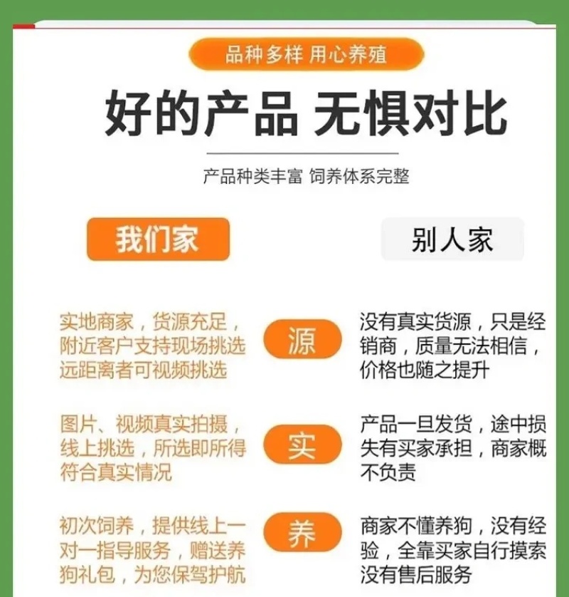 拉布拉多犬马犬金毛犬德国牧羊犬幼犬血统纯正