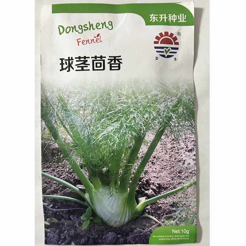 球茎茴香种子种籽高产割茬小茴香菜种籽阳台四季大蔬菜春季播