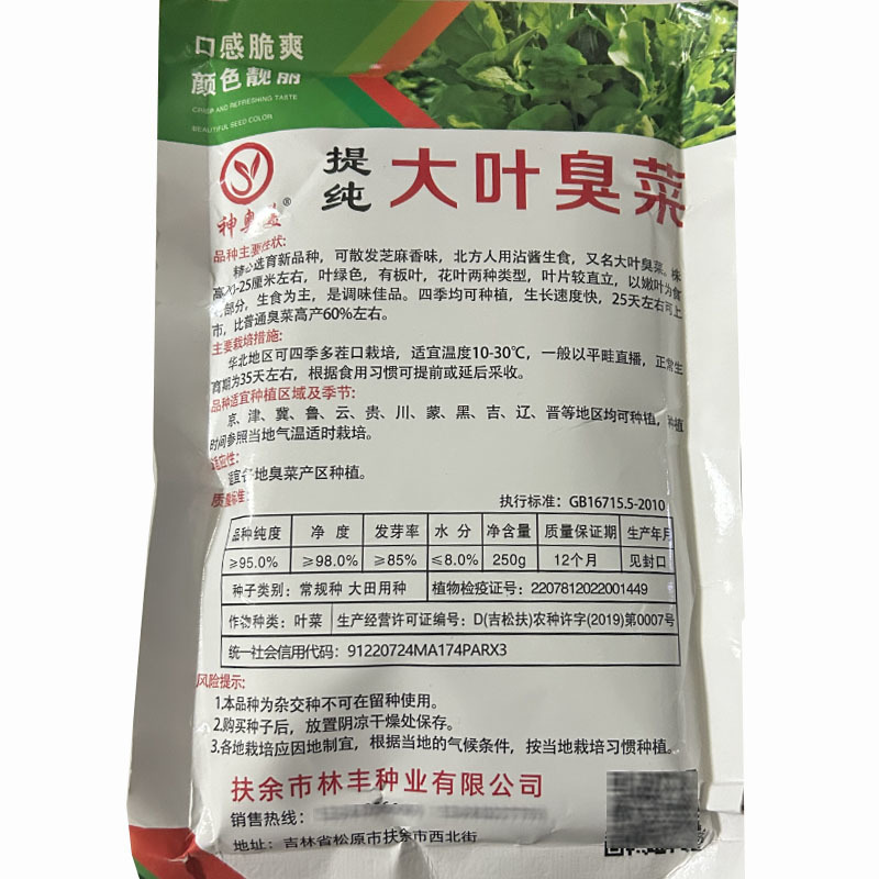 大叶芝麻菜种子味道浓郁臭菜生长速度快四季种植