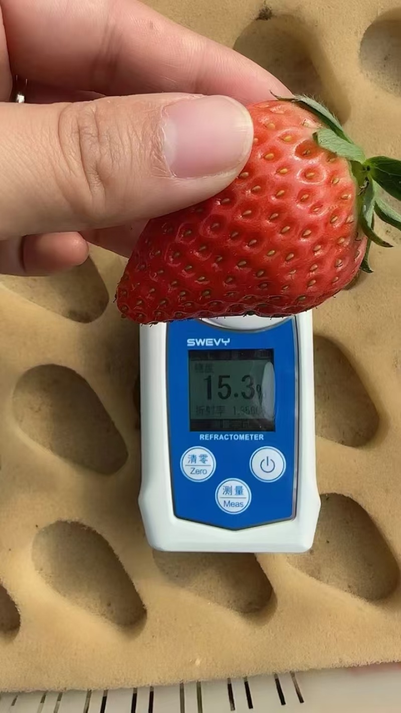 正宗丹东99红颜大草莓，果肉细腻爆浆香甜，孕妇老人小孩吃