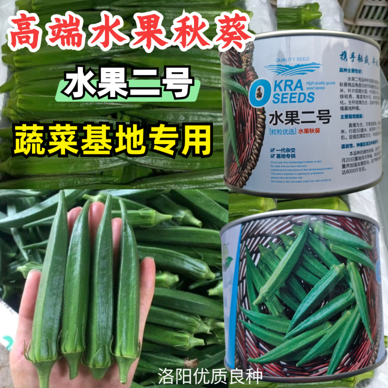 水果二号秋葵种子水果秋葵种子油绿明亮耐老化抗病