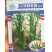 浓绿五角黄秋葵种子荚角浓绿细长五棱形结荚早脆嫩