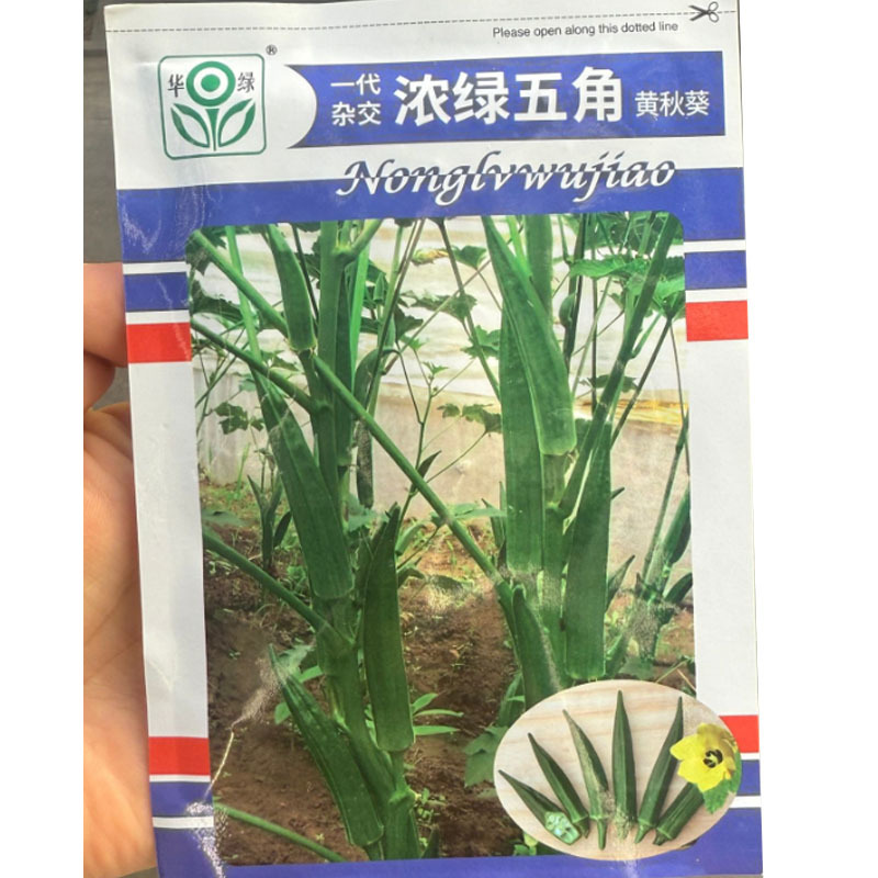 浓绿五角黄秋葵种子荚角浓绿细长五棱形结荚早脆嫩