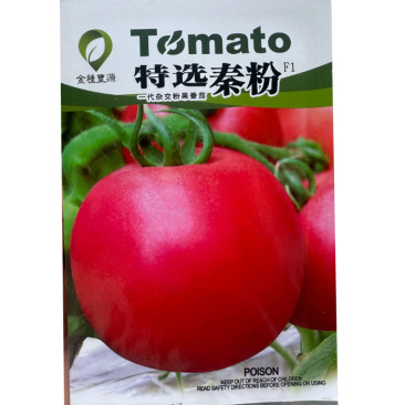 秦粉粉果番茄种子果色粉红高圆形早中熟自封顶
