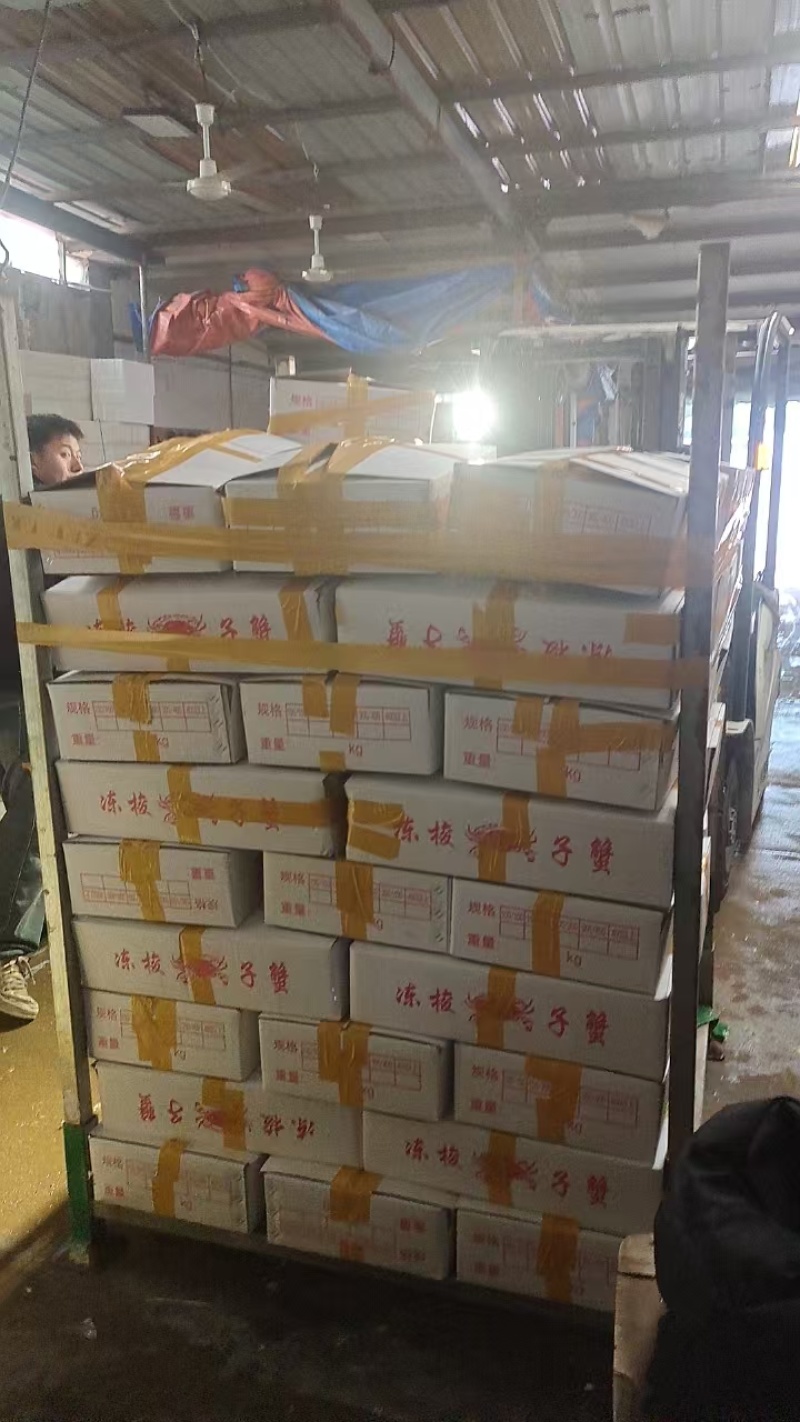 皮皮虾肉连云港产地直供全国发货对接各大批发市场