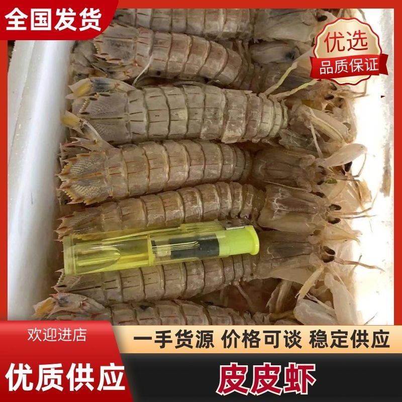 大皮皮虾货源充足支持一件代发全国欢迎联系