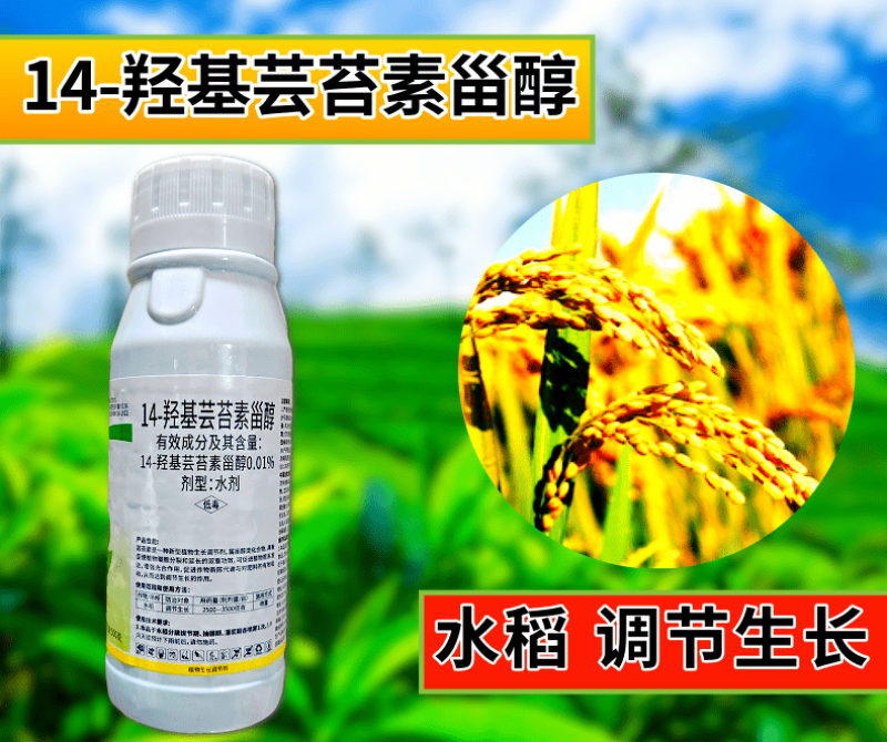 14羟基芸苔素甾醇0.01%高含量增强光合保花保果