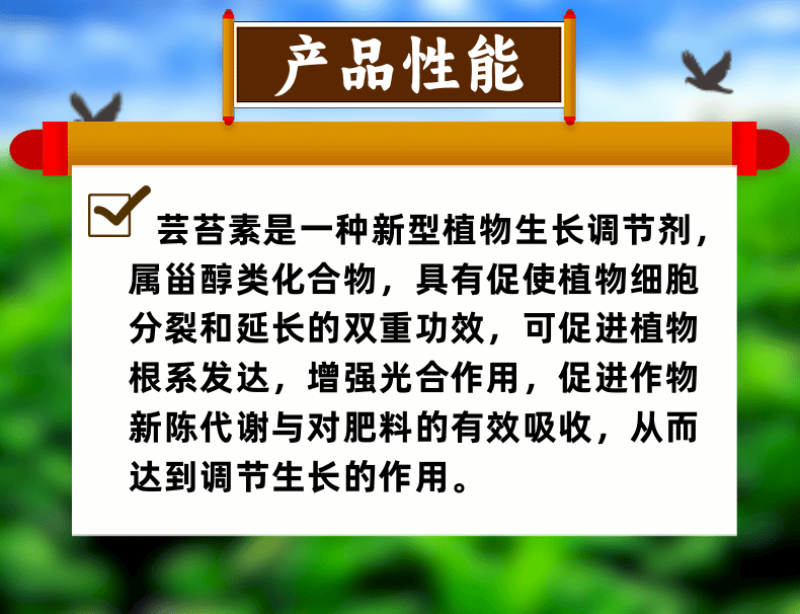 14羟基芸苔素甾醇0.01%高含量增强光合保花保果
