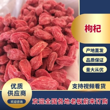 宁夏枸杞品质保证欢迎联系接商超市场电商欢迎联系