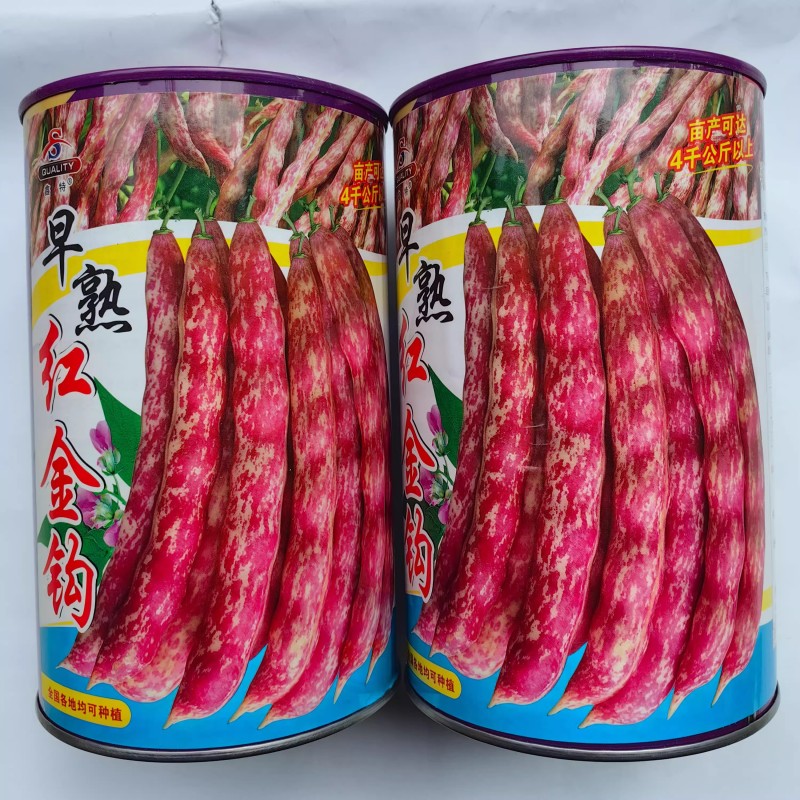 红金钩油豆种子荚红油亮略带黄色无筋无柴红皮豆角种子