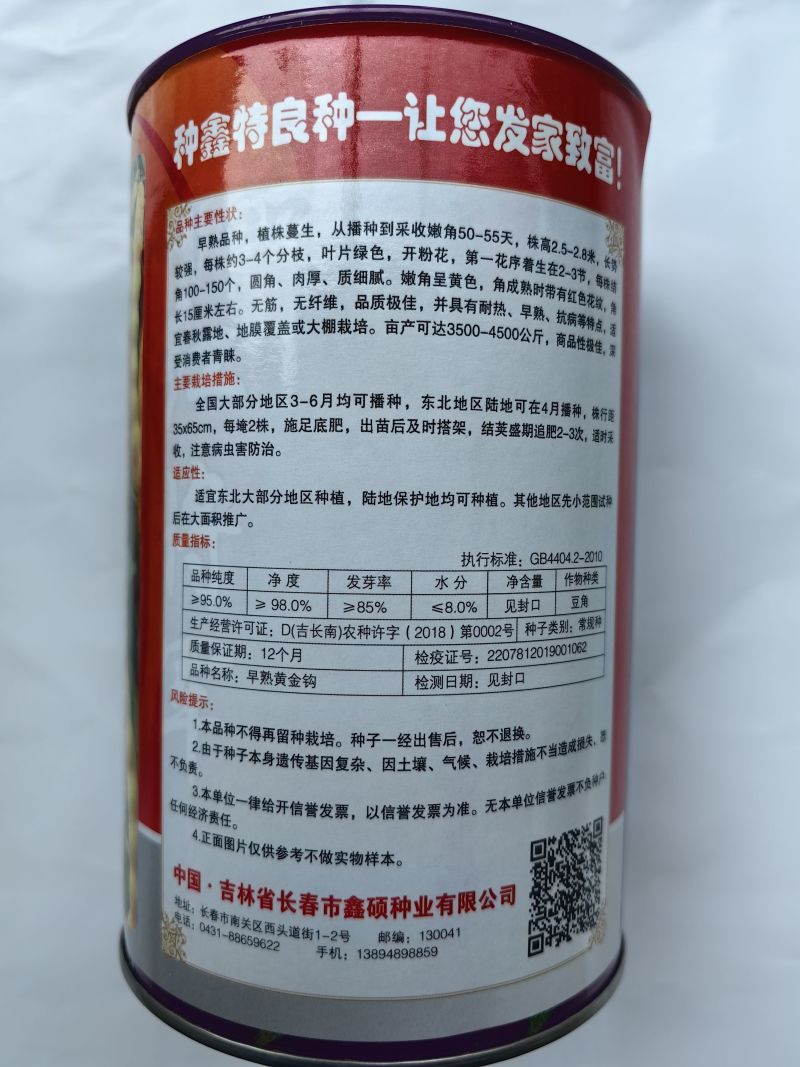 早熟黄金钩油豆种子圆角肉厚无筋无纤维黄色架豆种子