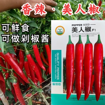 美人椒种子红辣椒种子果型细长羊角型果面光滑果实硬
