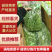 原产地直销精品贡菜干货量充足价格优惠保质保量欢迎咨询