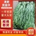 原产地直销精品贡菜干货量充足价格优惠保质保量欢迎咨询
