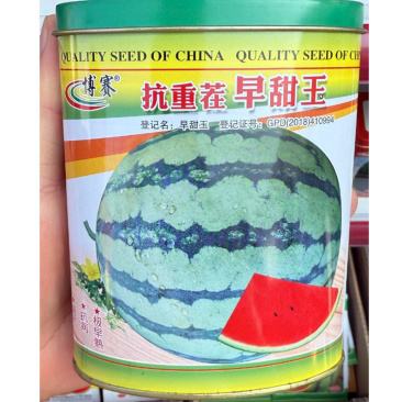 抗重茬早甜玉西瓜种子甜王西瓜种子早熟抗病皮薄耐裂