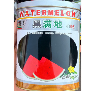 黑满地懒汉西瓜种子黑皮西瓜种子不裂果不打枝不打权
