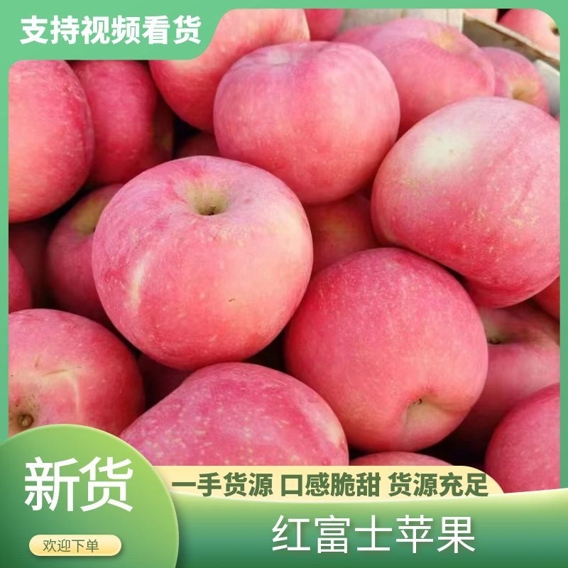 红富士苹果基地供应量大质优价格优惠一手货源欢迎咨询