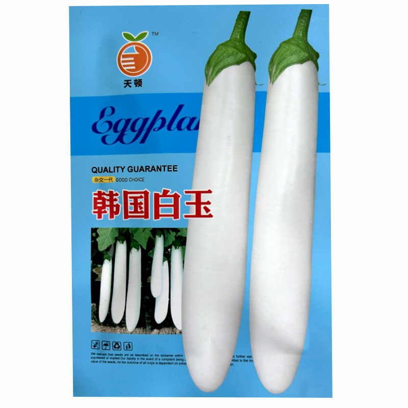 韩国白玉茄子白皮茄子种子光滑细嫩高产抗病耐储春秋播