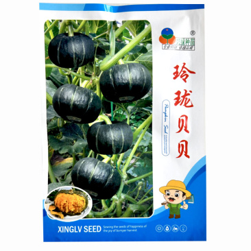 玲珑贝贝粉糯贝贝南瓜种子日本板栗小南肉黄煮烤吃