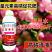 花满丰高磷促花催花肥花芽粗壮促花促果高磷清液肥