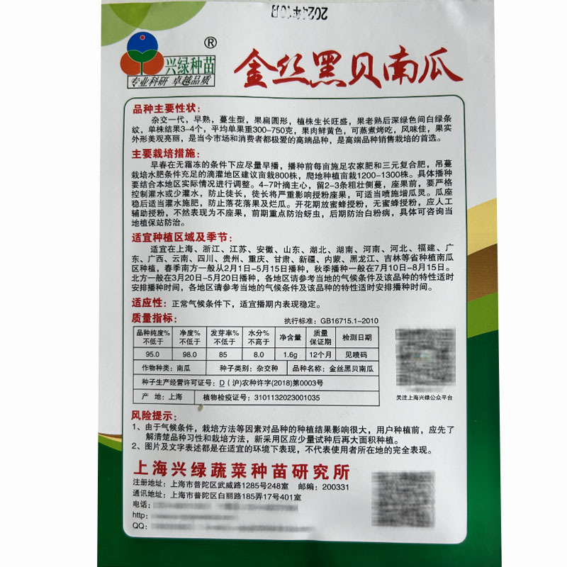 兴绿金丝黑贝南瓜种子贝贝小南瓜种子基地品种