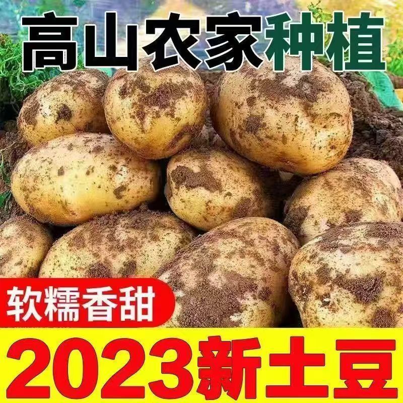 新鲜土豆大量上市，货源充足，量大从优，欢迎致电