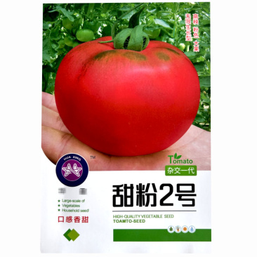 大果粉番茄种子甜粉2号西红柿大果耐高温蔬菜瓜果蔬菜种子
