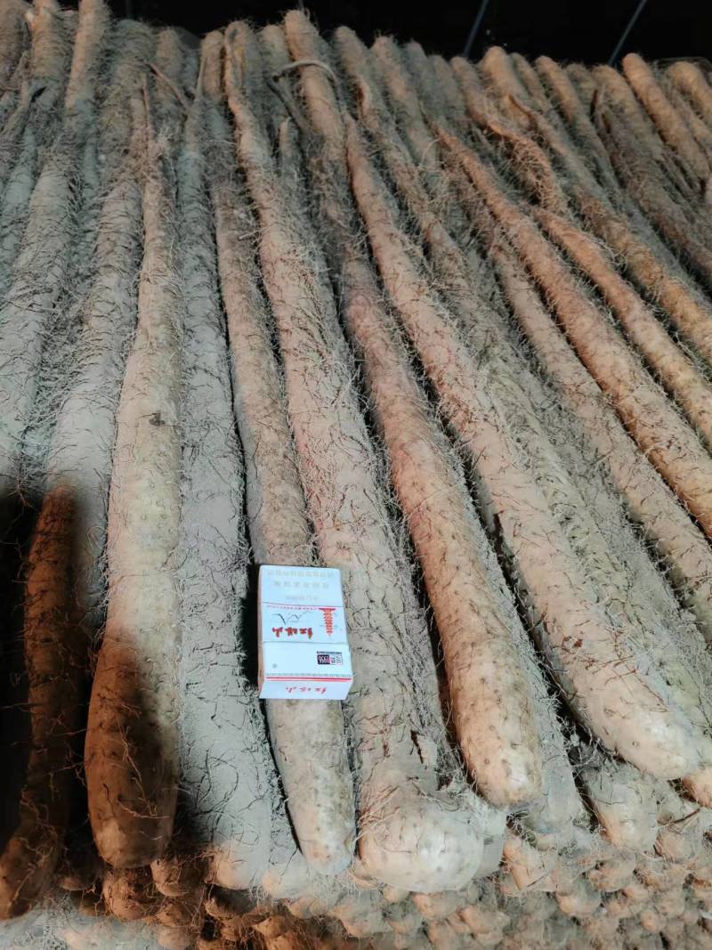 【白玉山药】山西运城山药自家货源条形好货量大大小长短都有