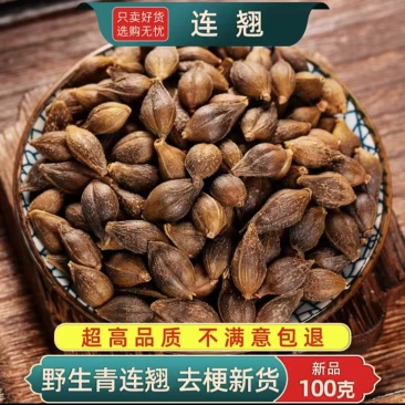 连翘药用连翘厂家直供大小规格都有一手货源欢迎咨询