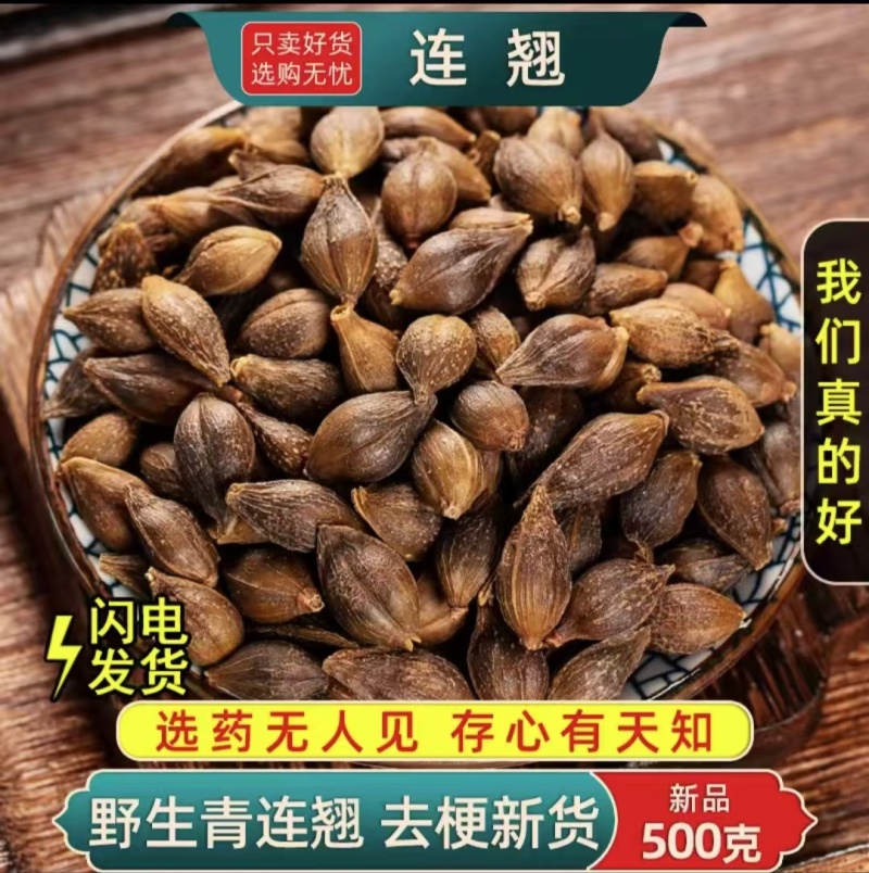 连翘药用连翘厂家直供大小规格都有一手货源欢迎咨询