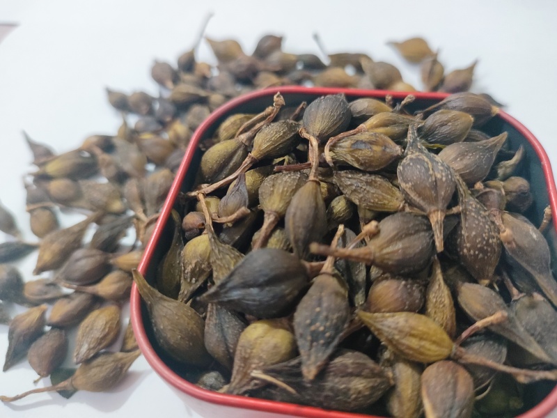 连翘药用连翘厂家直供大小规格都有一手货源欢迎咨询