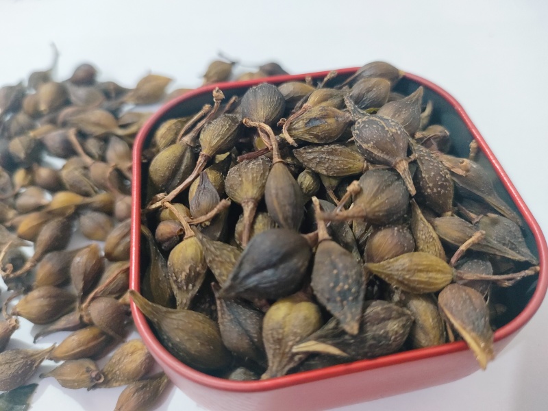 连翘药用连翘厂家直供大小规格都有一手货源欢迎咨询