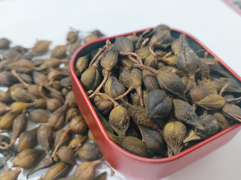 连翘药用连翘厂家直供大小规格都有一手货源欢迎咨询