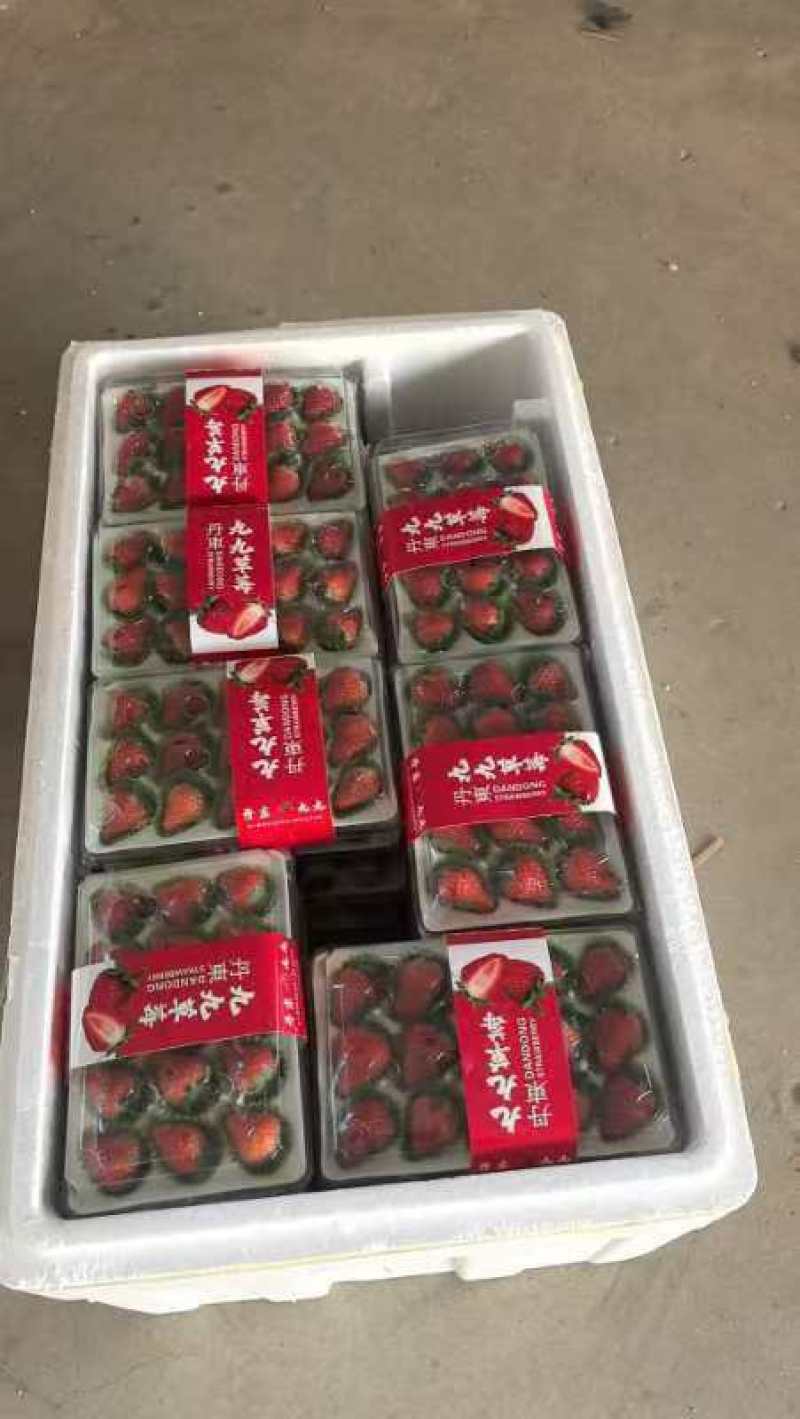 丹东九九草莓丹东草莓产地直发口感香甜对接商超市场