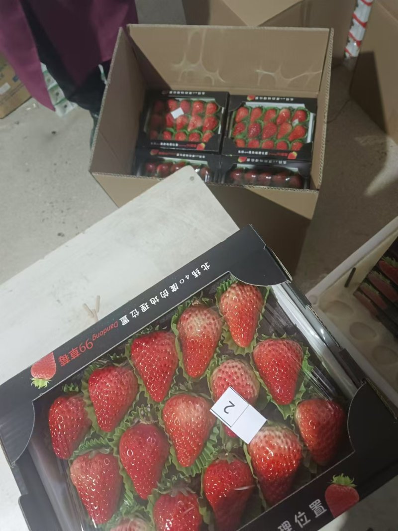 丹东九九草莓丹东草莓产地一手货源对接电商社区团购等
