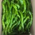 【陇椒】广东鲜辣椒大量上货，品种齐全，量大从优，诚信经营