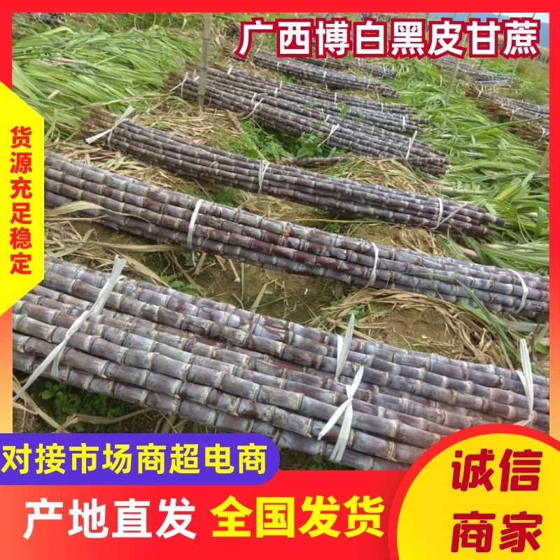 黑皮甘蔗量大从优，品质保证，支持视频看货，欢迎来电