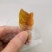 【推荐】精品杨桃干果味浓厚品质保障代发全国欢迎致电