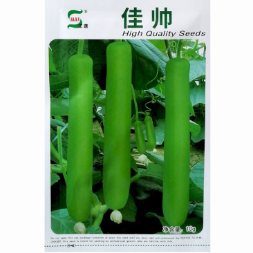 佳帅瓠子种子瓠瓜长蒲瓜种子江蔬种苗杂交瓠子瓜种子